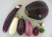 ����܂ł̂����ōł����������Ă܂�