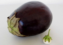 �ȂɐH���Ă�