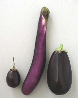 ���̑����������Ǝ��͎v��