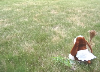 ������Ƌx�e���悤�c